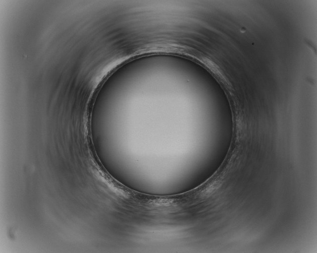 X0000099930846200806061452