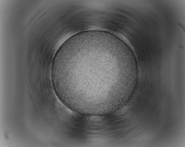 X0000099930847200806061452