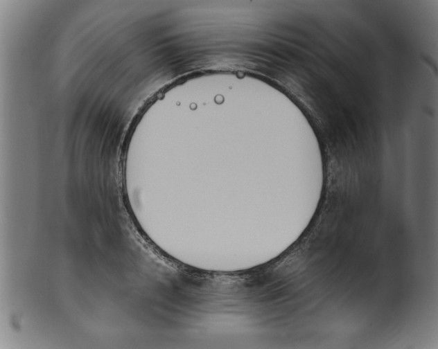 X0000099930848200806061452