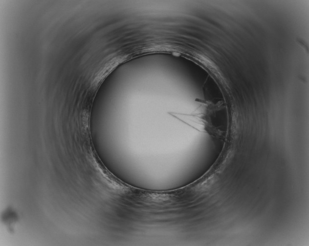 X0000099930849200806061452