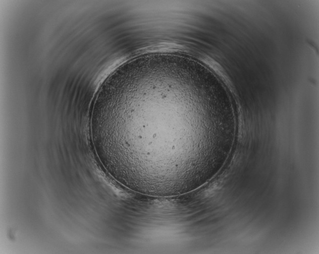 X0000099930850200806061452