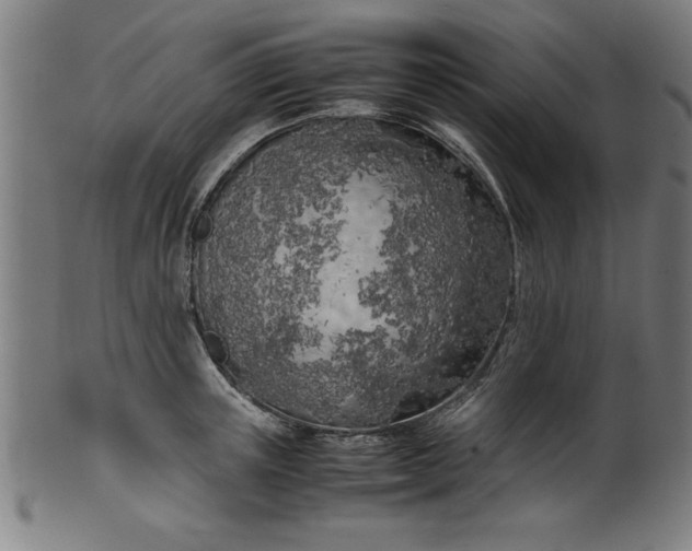 X0000099930851200806061452