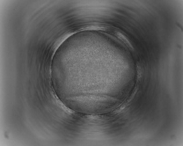 X0000099930852200806061452