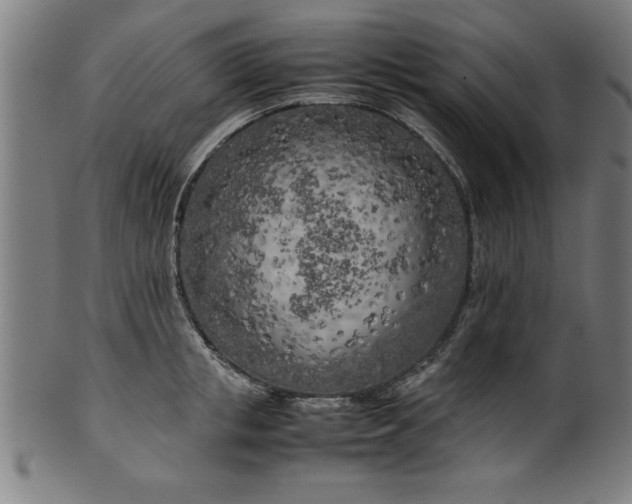 X0000099930853200806061452