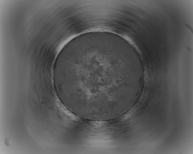 X0000099930854200806061452