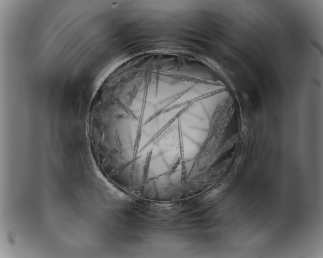 X0000099930855200806061452