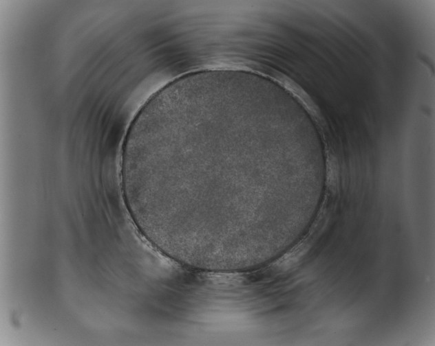 X0000099930856200806061452