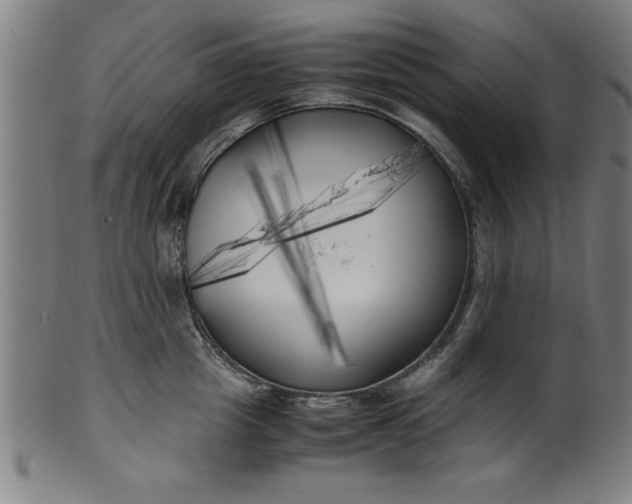 X0000099930857200806061452