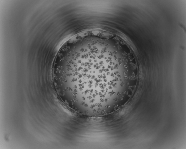 X0000099930858200806061452