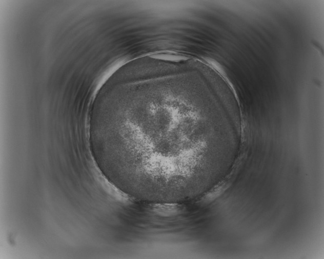 X0000099930859200806061452