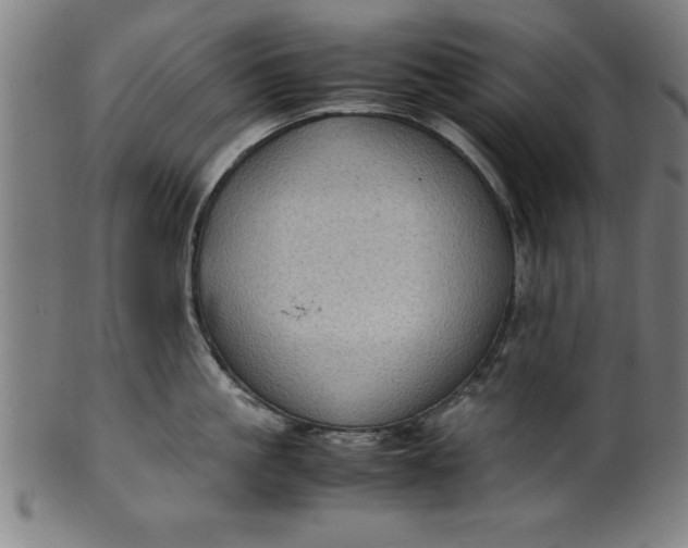 X0000099930861200806061453