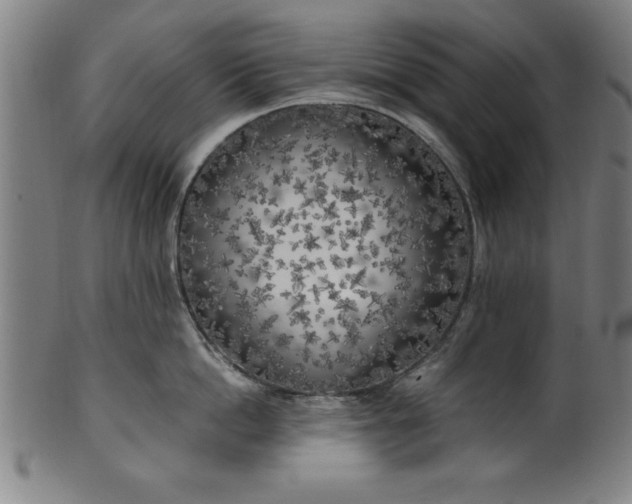 X0000099930862200806061453