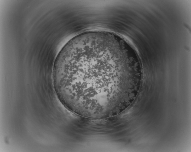 X0000099930863200806061453