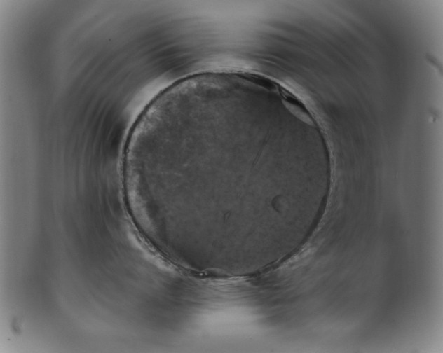 X0000099930864200806061453