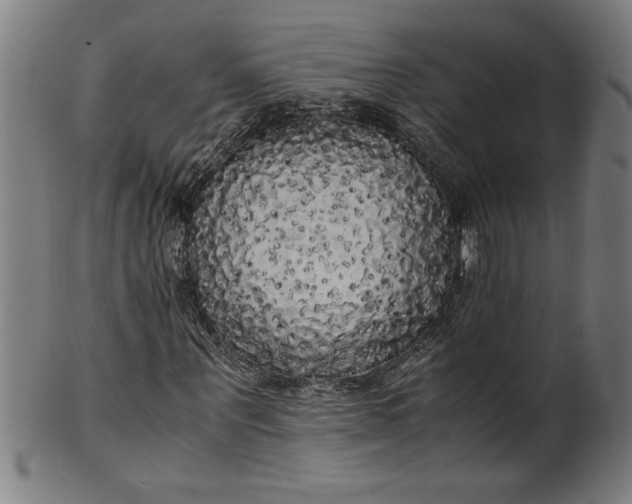 X0000099930867200806061452