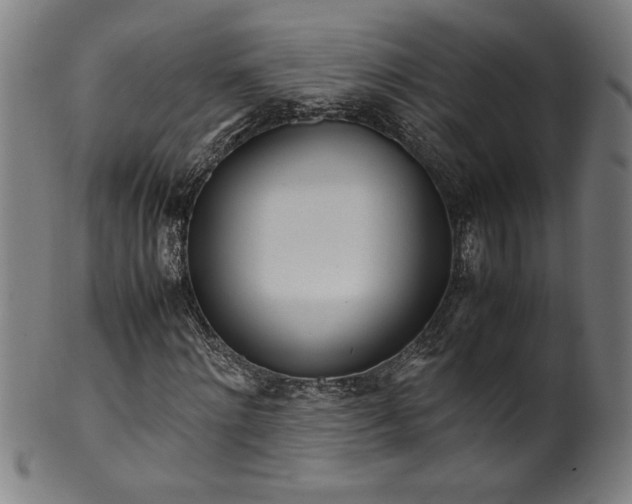 X0000099930868200806061452