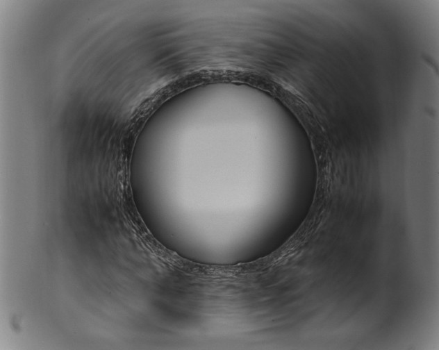 X0000099930870200806061452