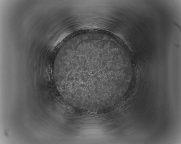 X0000099930871200806061452