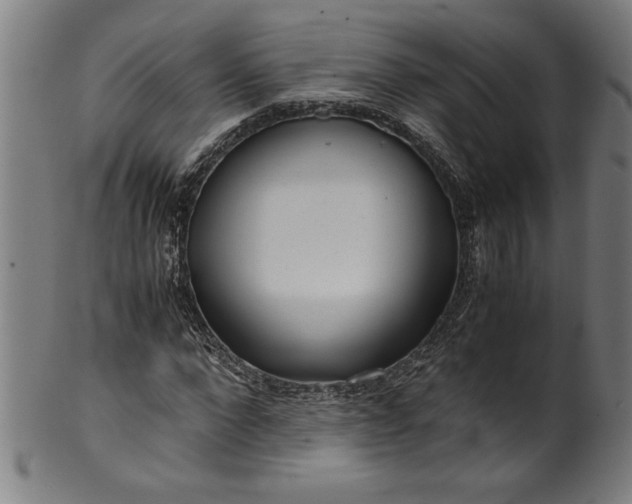 X0000099930872200806061452