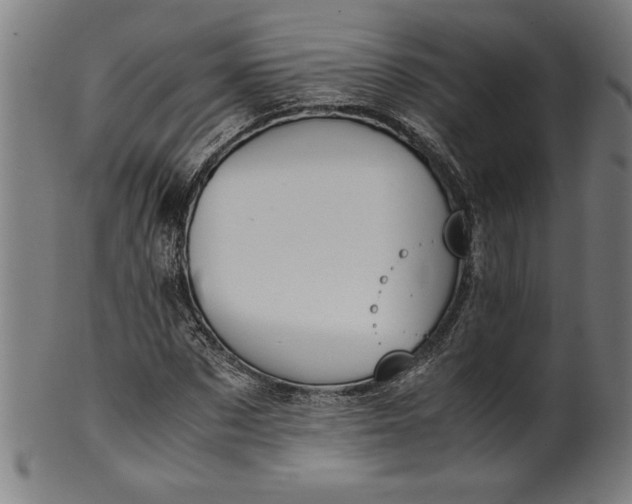 X0000099930873200806061452