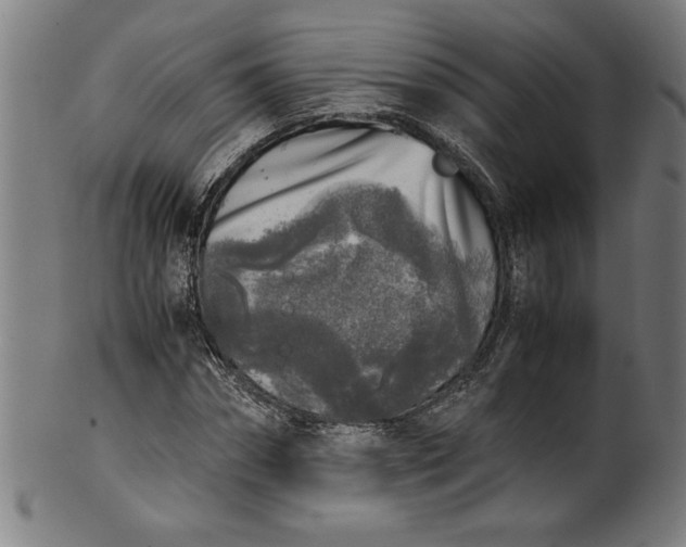 X0000099930874200806061452