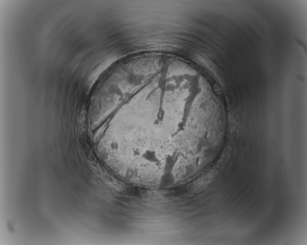 X0000099930875200806061452