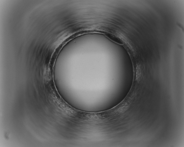 X0000099930876200806061452