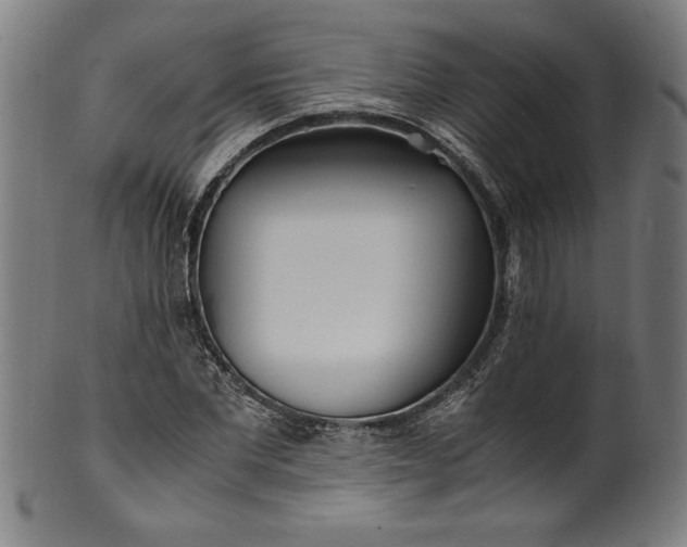 X0000099930877200806061452