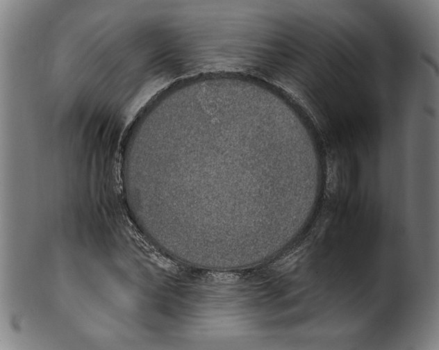 X0000099930878200806061451