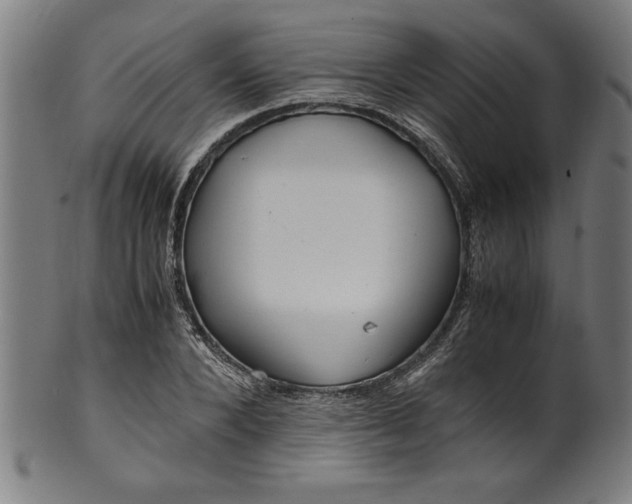 X0000099930880200806061451