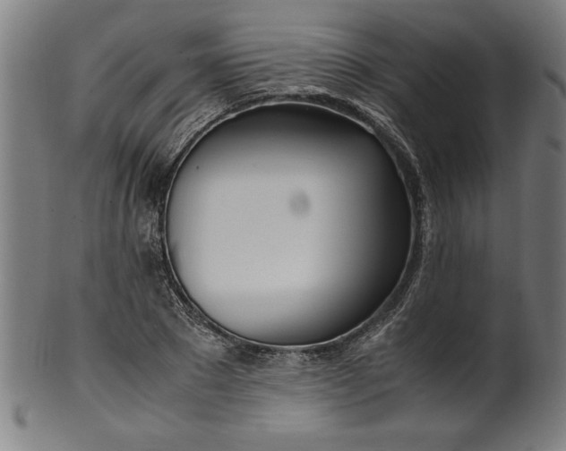 X0000099930881200806061451