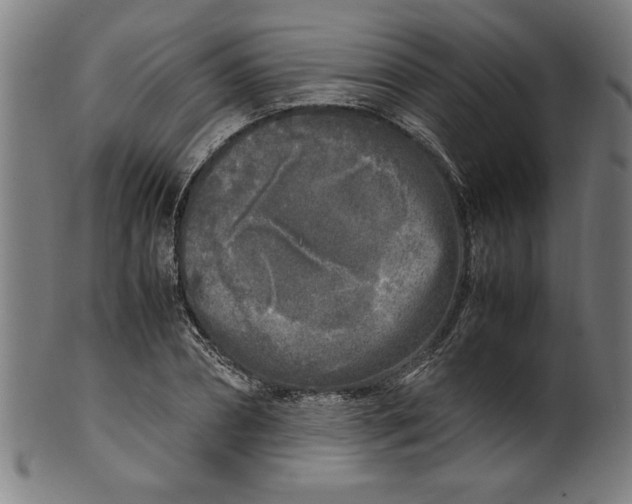 X0000099930882200806061451