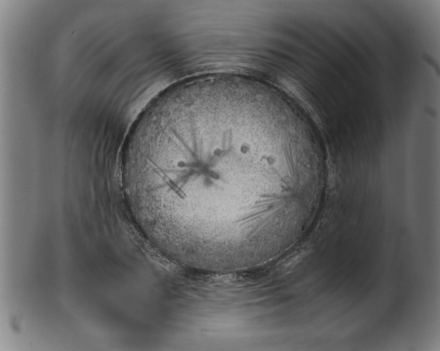 X0000099930883200806061451