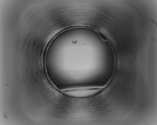 X0000099930884200806061451