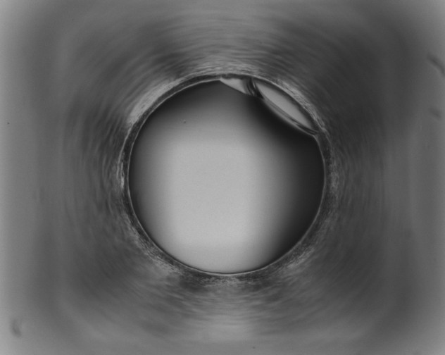 X0000099930885200806061451