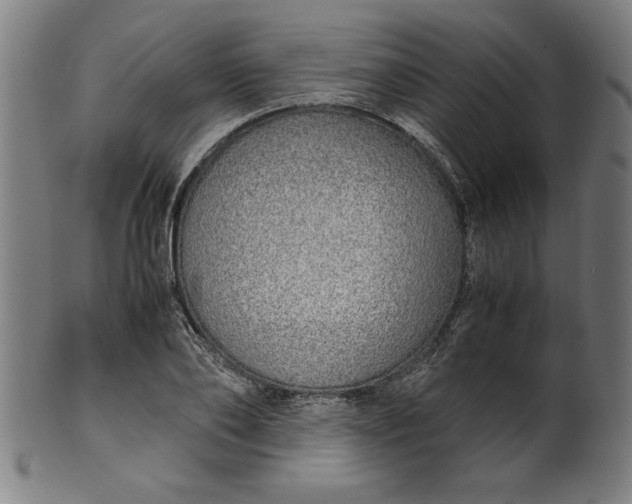 X0000099930886200806061451