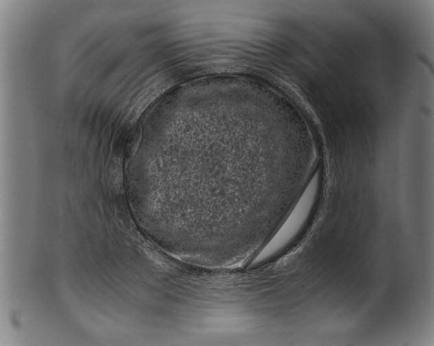 X0000099930889200806061451