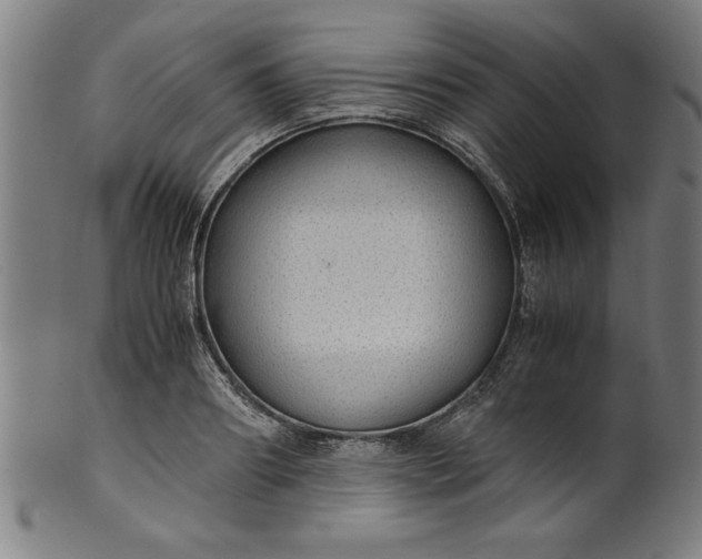 X0000099930890200806061451