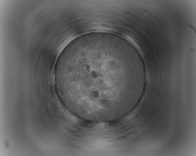 X0000099930891200806061451