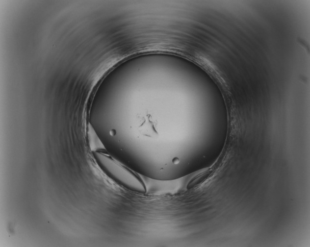 X0000099930892200806061451