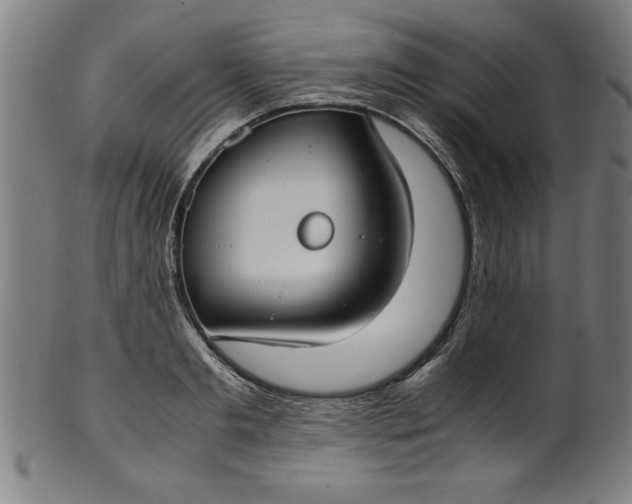 X0000099930893200806061451