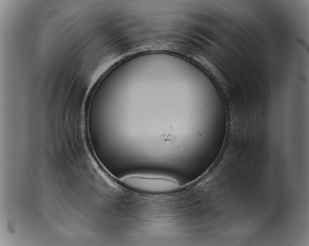 X0000099930894200806061451