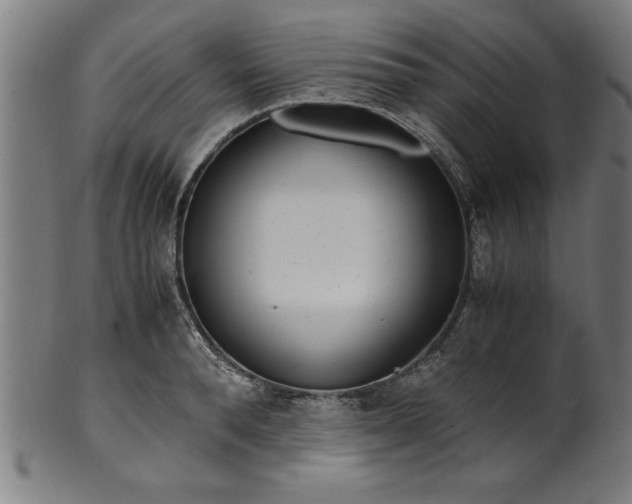 X0000099930896200806061451