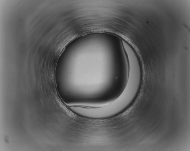 X0000099930897200806061451