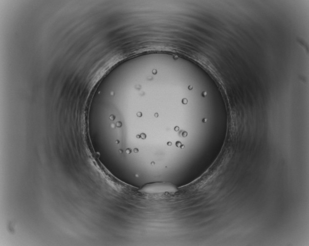 X0000099930898200806061451