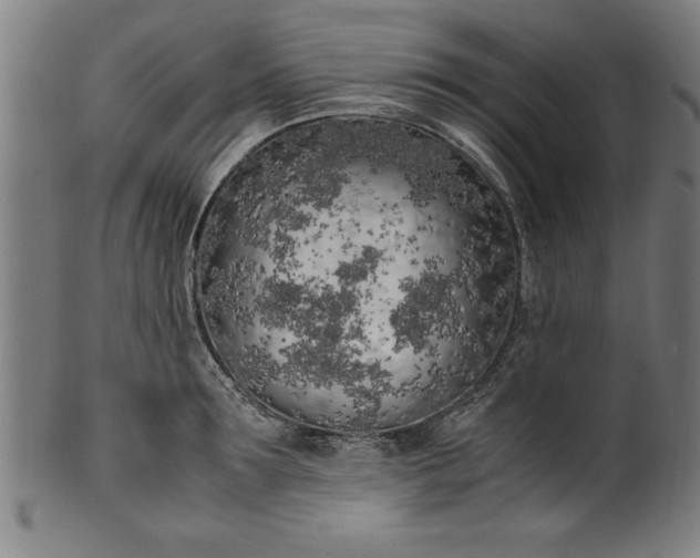 X0000099930899200806061451