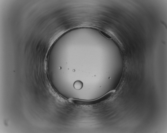 X0000099930900200806061451