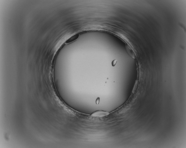 X0000099930901200806061451