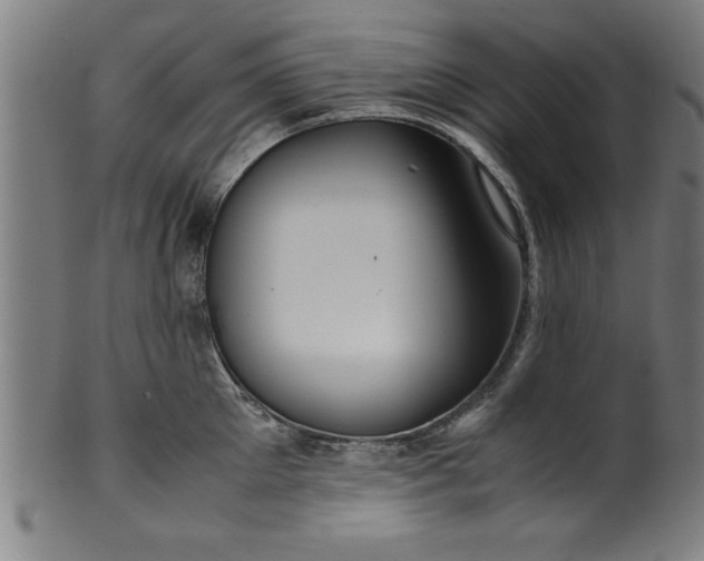 X0000099930905200806061451