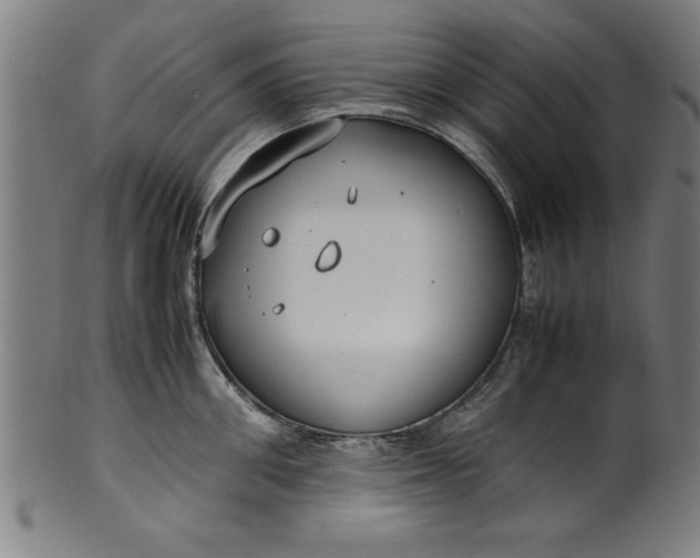 X0000099930906200806061451